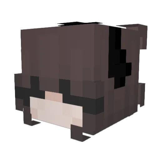 browny2609 Minecraft avatar head, 3D render