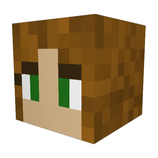 broxwn Minecraft avatar head, 3D render