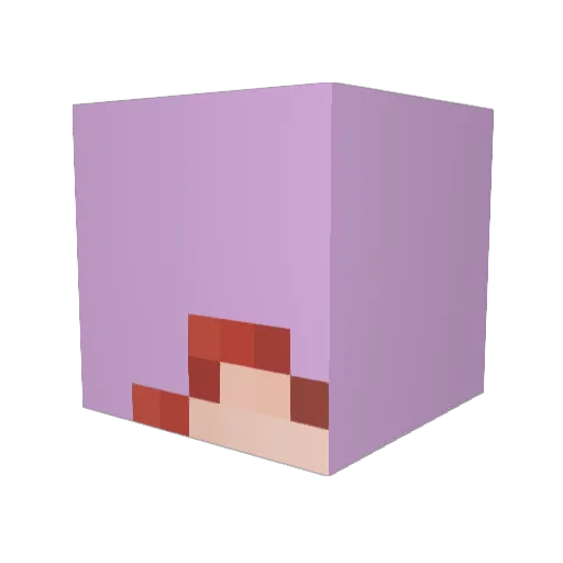 broyoudontknow Minecraft avatar head, 3D render