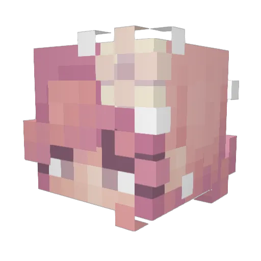brppke Minecraft avatar head, 3D render