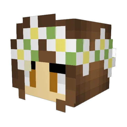 brrbri Minecraft avatar head, 3D render