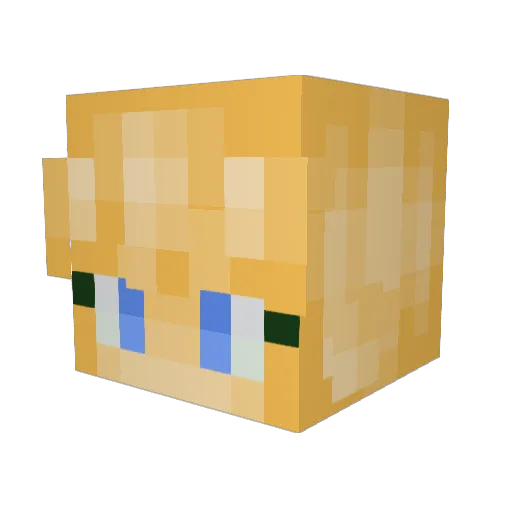 brrr123 Minecraft avatar head, 3D render
