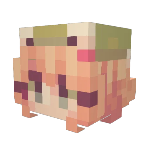 brtcac Minecraft avatar head, 3D render