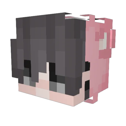 bruathebear Minecraft avatar head, 3D render