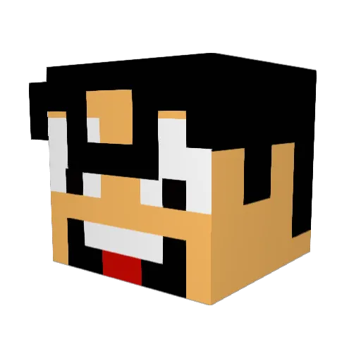 bruce11521 Minecraft avatar head, 3D render