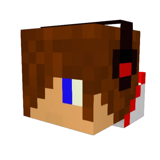 bruce6087 Minecraft avatar head, 3D render