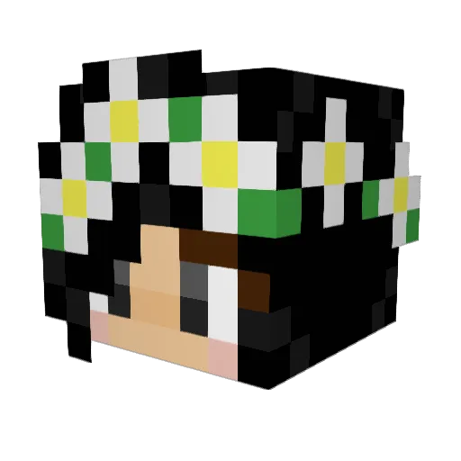 bruce_thc Minecraft avatar head, 3D render