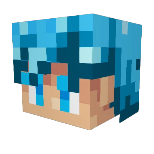 brucelee1o1 Minecraft avatar head, 3D render