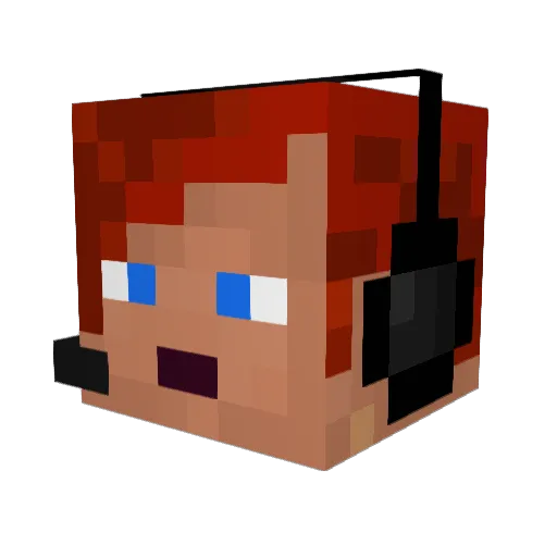 brucesue Minecraft avatar head, 3D render