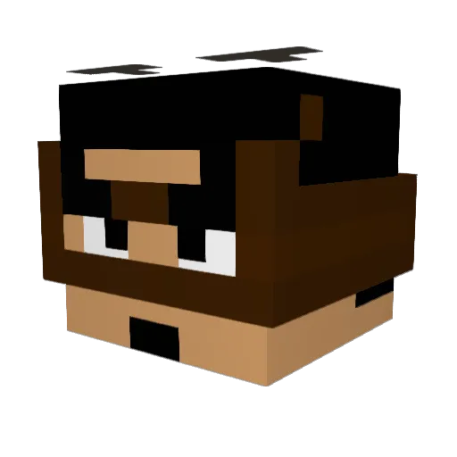 brucey Minecraft avatar head, 3D render