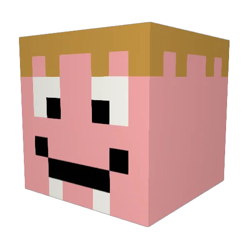 bruddaaosass Minecraft avatar head, 3D render