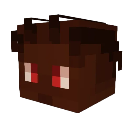 bruds Minecraft avatar head, 3D render