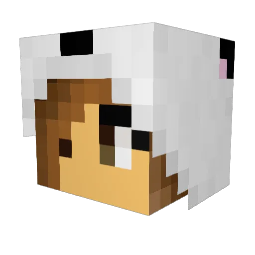 bruehlman Minecraft avatar head, 3D render