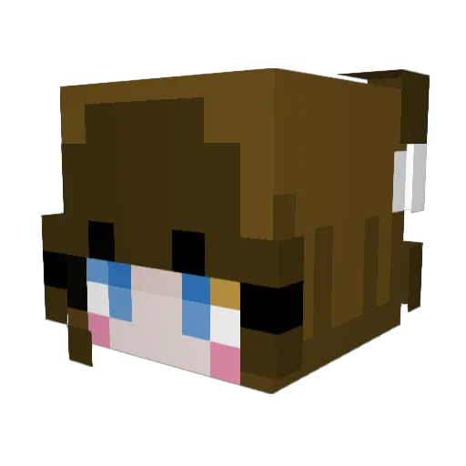 bruhavery Minecraft avatar head, 3D render