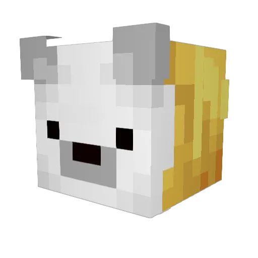 bruhbeasty Minecraft avatar head, 3D render