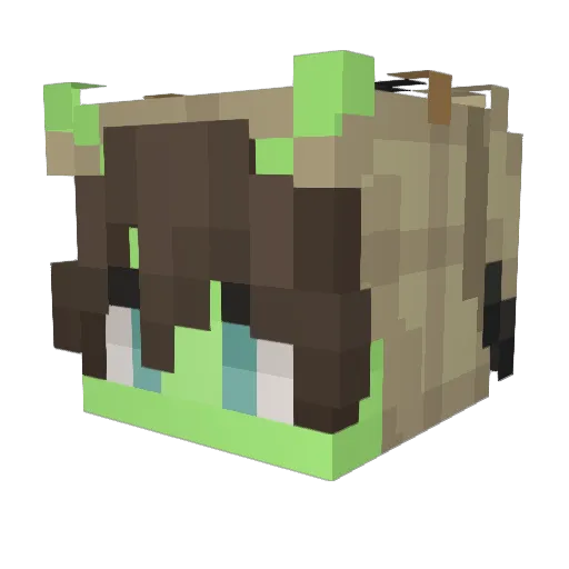 bruhchrisi Minecraft avatar head, 3D render