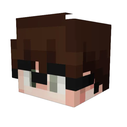 bruhh2 Minecraft avatar head, 3D render