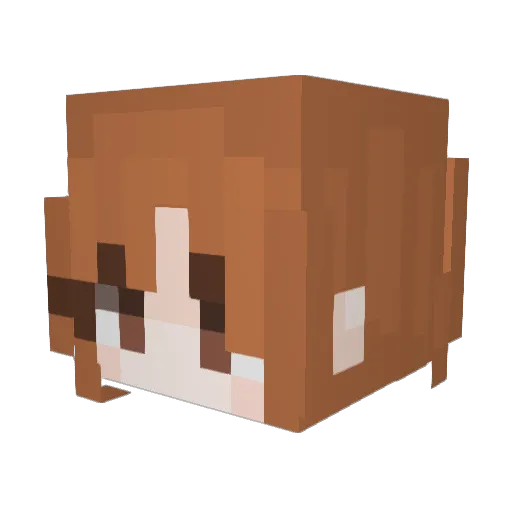 bruhhh127 Minecraft avatar head, 3D render