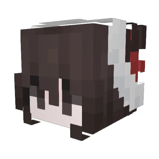 bruhimtired444 Minecraft avatar head, 3D render