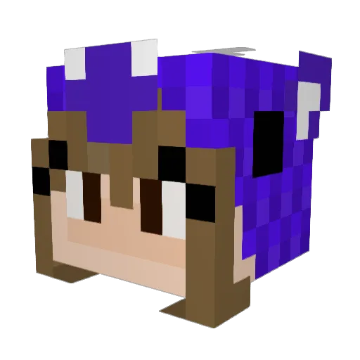 bruhlikewhodis Minecraft avatar head, 3D render