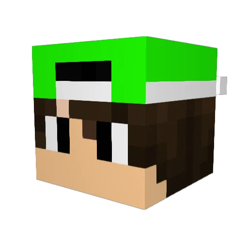 bruhmoment8 Minecraft avatar head, 3D render