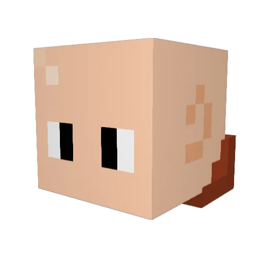 bruhsword Minecraft avatar head, 3D render