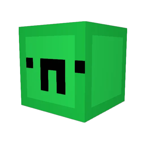 bruhyee Minecraft avatar head, 3D render