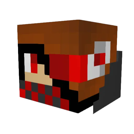 bruin888 Minecraft avatar head, 3D render