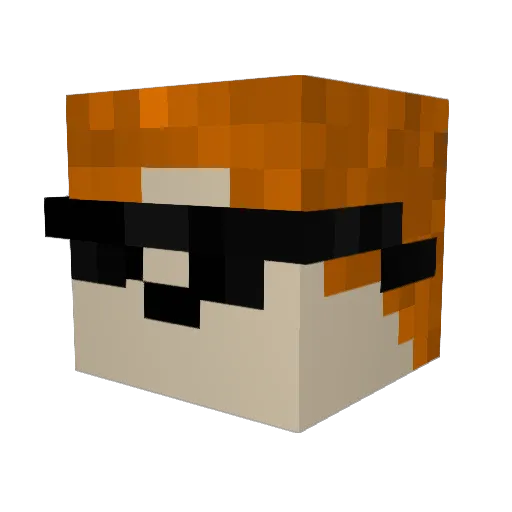 bruinsnuit Minecraft avatar head, 3D render