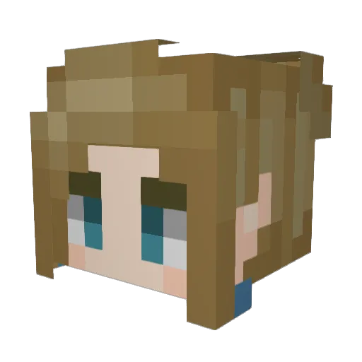 bruised_kidneys Minecraft avatar head, 3D render