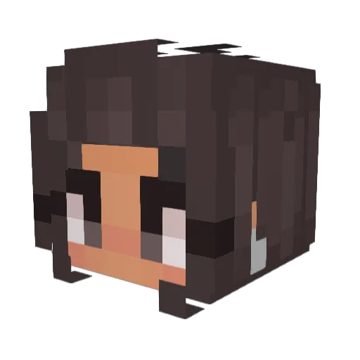 brunevis Minecraft avatar head, 3D render