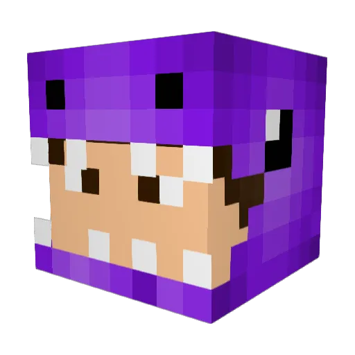 bruninhaw Minecraft avatar head, 3D render