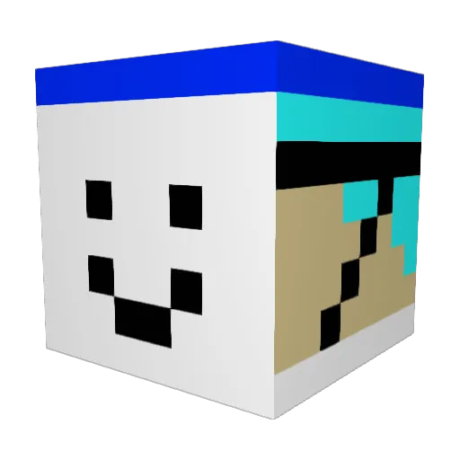 brunix312 Minecraft avatar head, 3D render