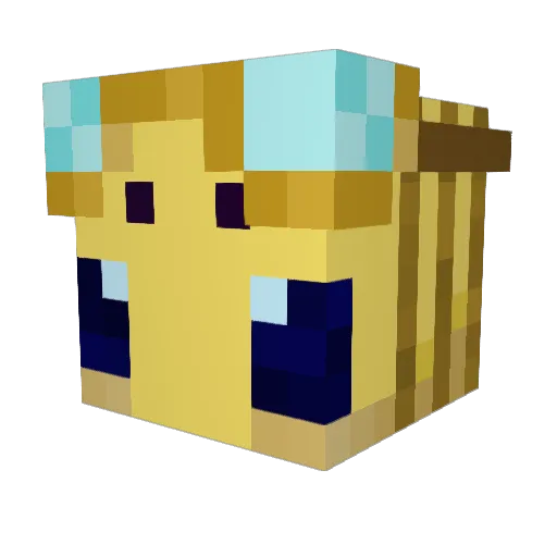 brunkids3 Minecraft avatar head, 3D render