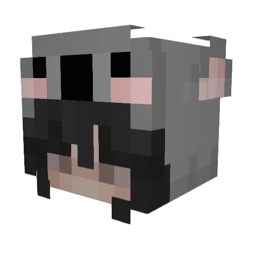 brunodw123 Minecraft avatar head, 3D render