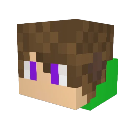 brunohqcs5 Minecraft avatar head, 3D render