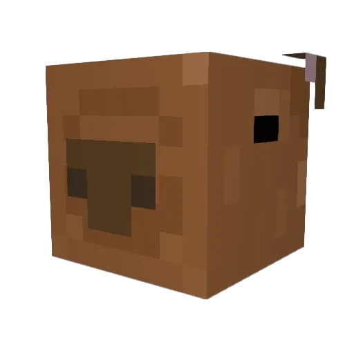 brunorh Minecraft avatar head, 3D render