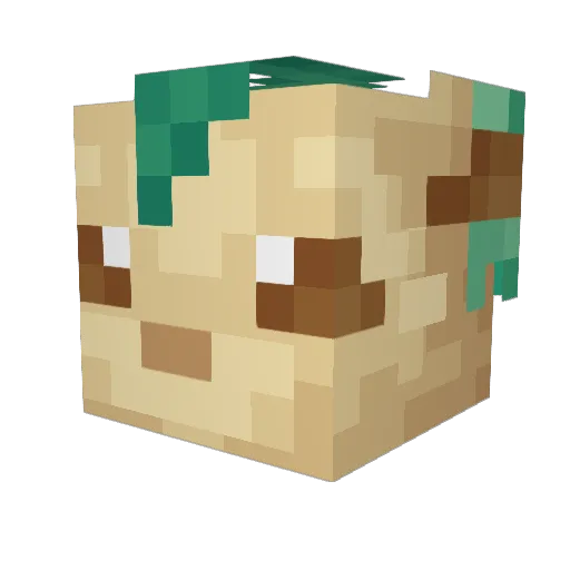 brunoskoa Minecraft avatar head, 3D render