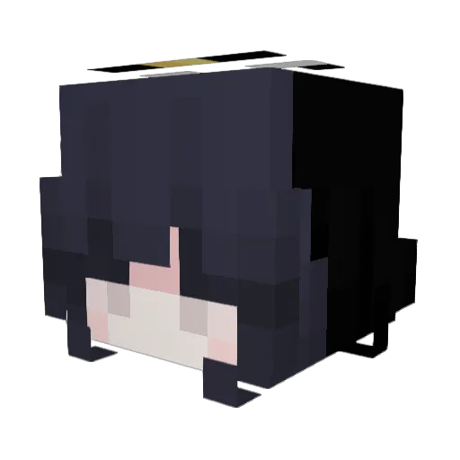 brununaholic Minecraft avatar head, 3D render
