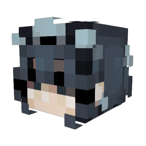 brunwurker Minecraft avatar head, 3D render