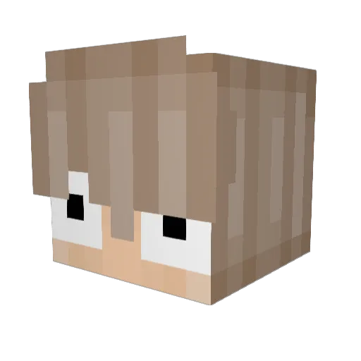 brunx25 Minecraft avatar head, 3D render