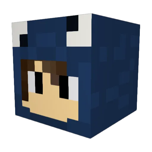 bruxinhox Minecraft avatar head, 3D render