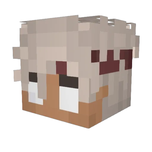 brvwn Minecraft avatar head, 3D render
