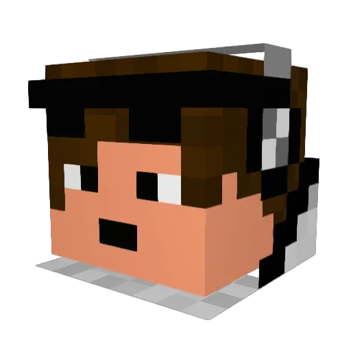 brx25 Minecraft avatar head, 3D render