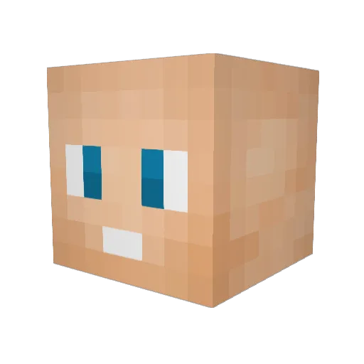 bryan1307 Minecraft avatar head, 3D render