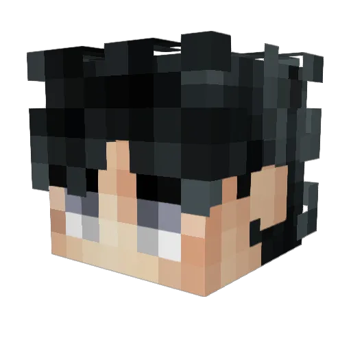 bryanT55 Minecraft avatar head, 3D render