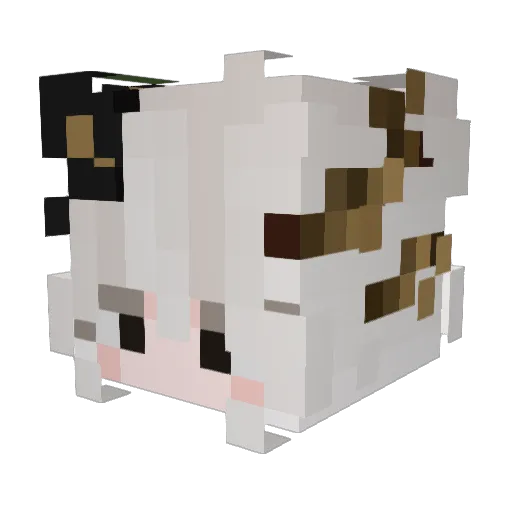 bryannboo Minecraft avatar head, 3D render