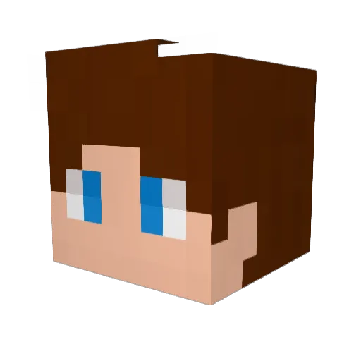 bryansitoo258 Minecraft avatar head, 3D render