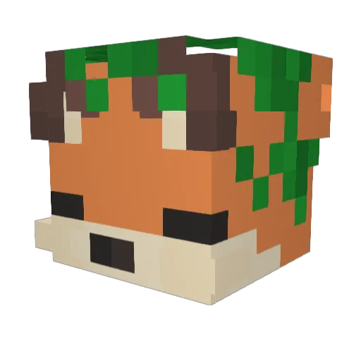 bryarelise Minecraft avatar head, 3D render