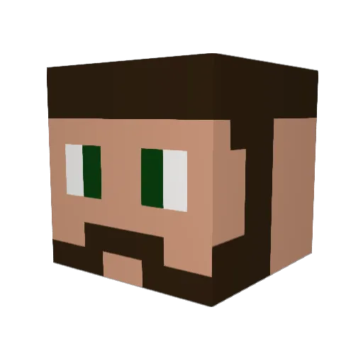 bryce_is_gay Minecraft avatar head, 3D render